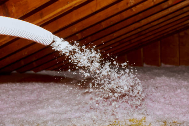 Best Energy Efficiency Insulation in Winter Springs, FL