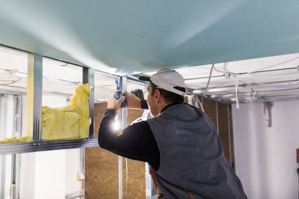 Best Spray Foam Insulation in Winter Springs, FL