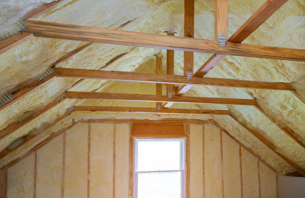 Types of Insulation We Offer in Winter Springs, FL