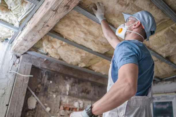 Best Blown-in Insulation in Winter Springs, FL
