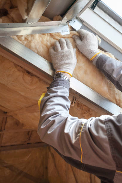 Best Eco-Friendly Insulation in Winter Springs, FL