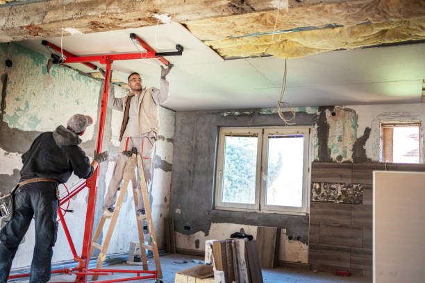 Best Cellulose Insulation in Winter Springs, FL