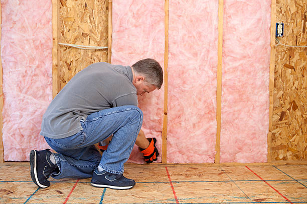 Best Blown-in Insulation in Winter Springs, FL