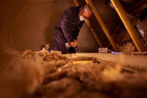 Best Commercial Insulation in Winter Springs, FL